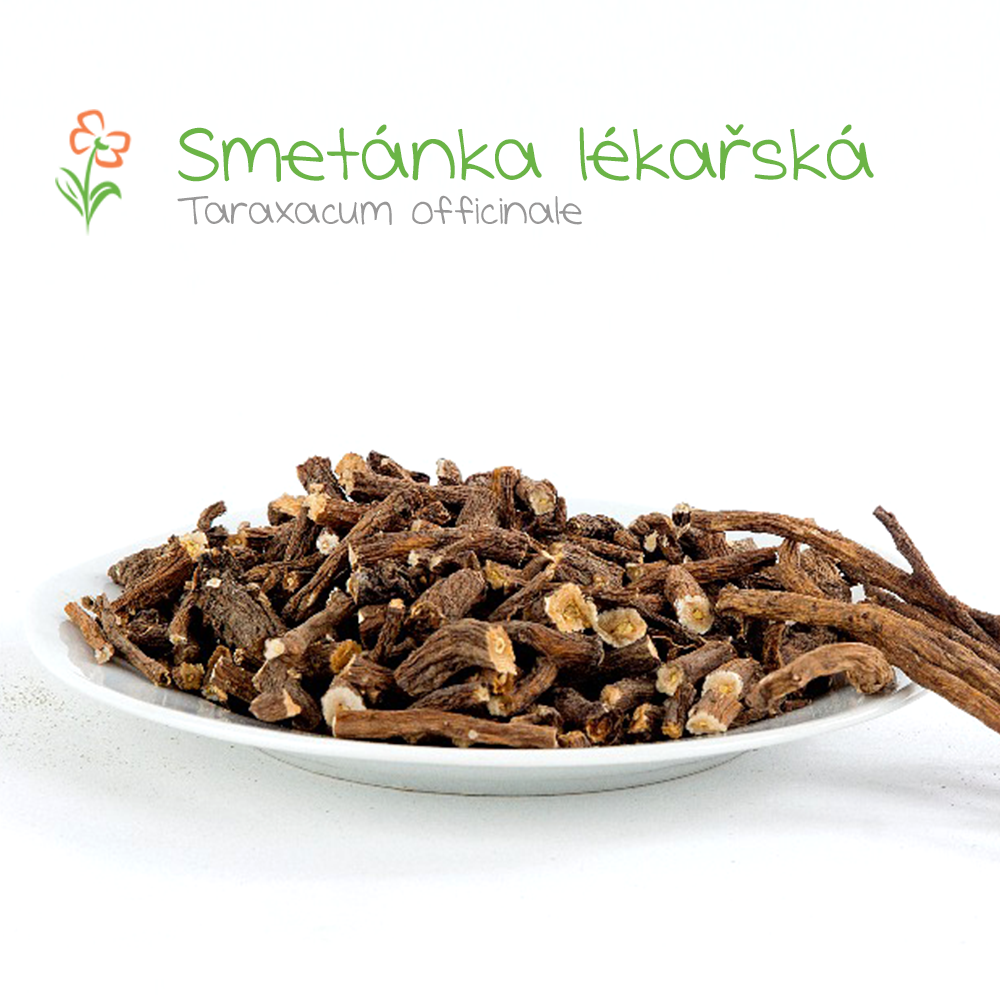 smetánka-lékařská-kořen-drcený1_1